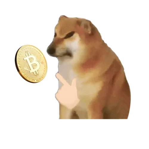 我的商店